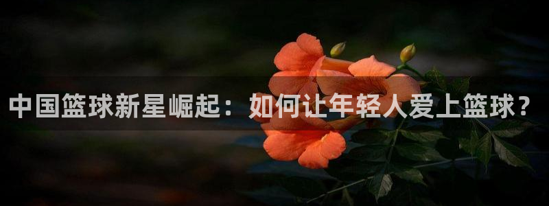 中国篮球新星崛起：如何让年轻人爱上篮球？