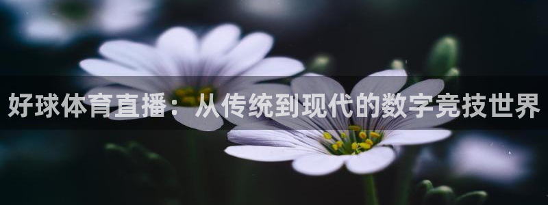 好球体育直播：从传统到现代的数字竞技世界