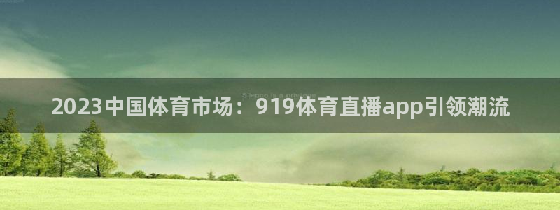 2023中国体育市场：919体育直播app引领潮流