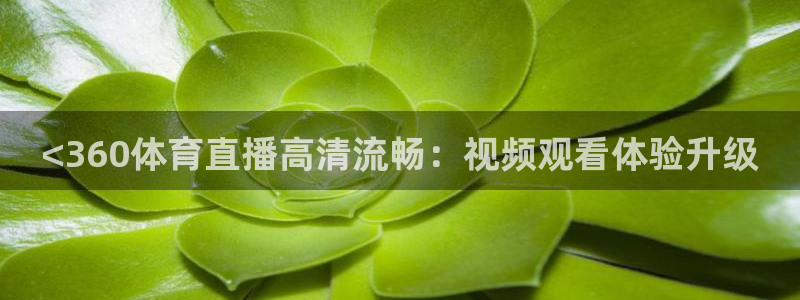 <360体育直播高清流畅：视频观看体验升级