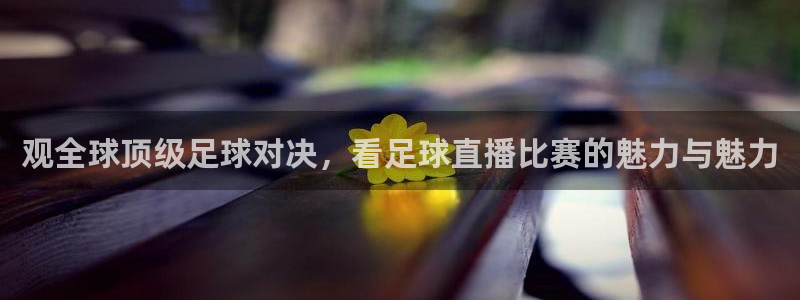 观全球顶级足球对决，看足球直播比赛的魅力与魅力