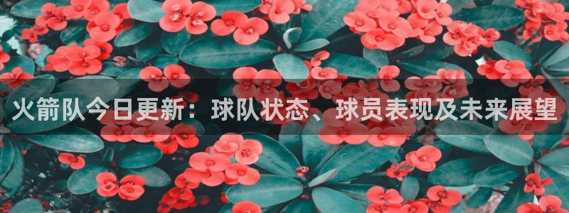 火箭队今日更新：球队状态、球员表现及未来展望