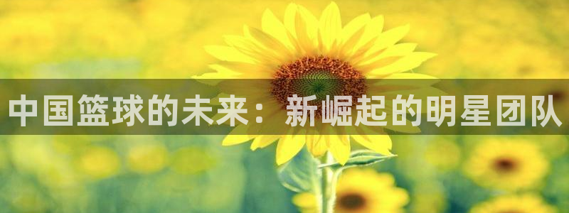 中国篮球的未来：新崛起的明星团队