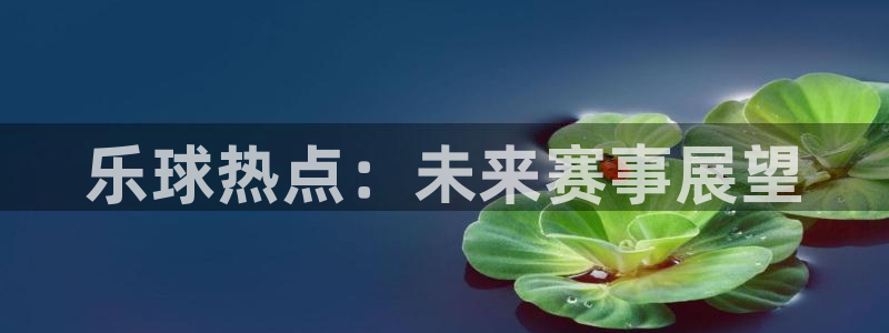 乐球热点：未来赛事展望