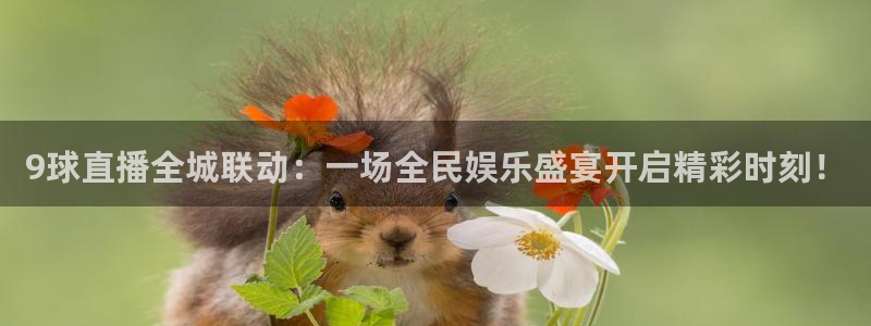 9球直播全城联动：一场全民娱乐盛宴开启精彩时刻！