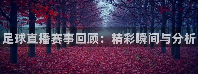 足球直播赛事回顾：精彩瞬间与分析