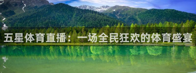 五星体育直播：一场全民狂欢的体育盛宴