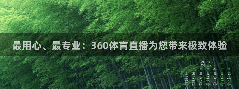 最用心、最专业：360体育直播为您带来极致体验