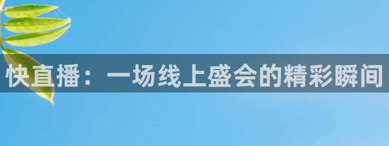 快直播：一场线上盛会的精彩瞬间