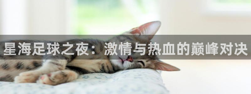 星海足球之夜：激情与热血的巅峰对决