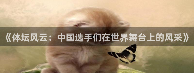 《体坛风云：中国选手们在世界舞台上的风采》