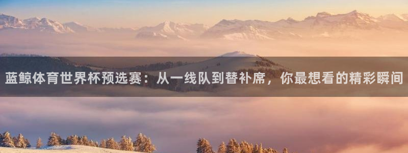 蓝鲸体育世界杯预选赛：从一线队到替补席，你最想看的精彩瞬间