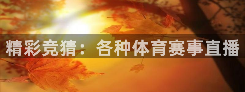 精彩竞猜：各种体育赛事直播