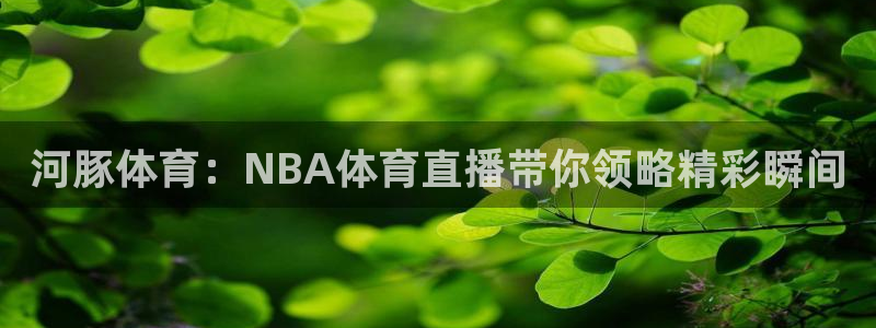 河豚体育：NBA体育直播带你领略精彩瞬间