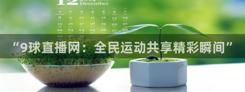 “9球直播网：全民运动共享精彩瞬间”