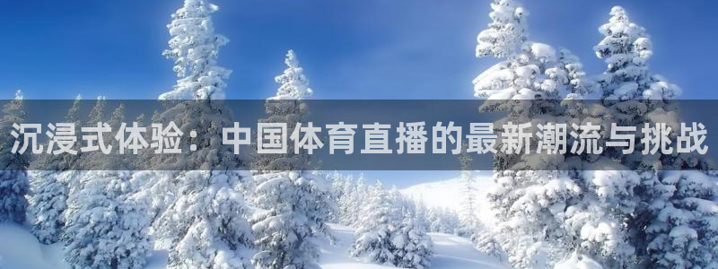沉浸式体验：中国体育直播的最新潮流与挑战
