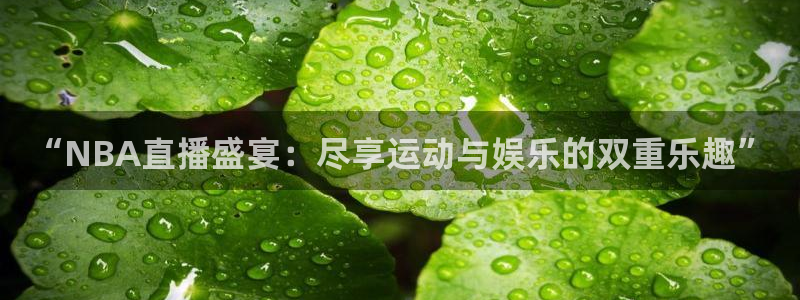 “NBA直播盛宴：尽享运动与娱乐的双重乐趣”