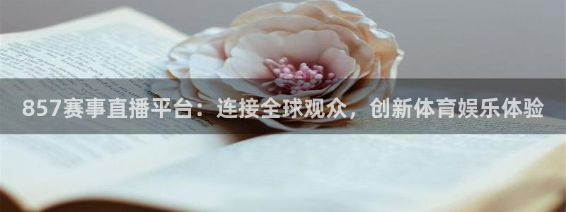 857赛事直播平台：连接全球观众，创新体育娱乐体验