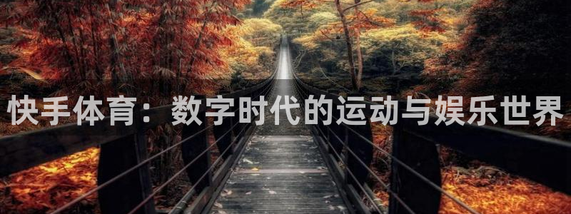 快手体育：数字时代的运动与娱乐世界