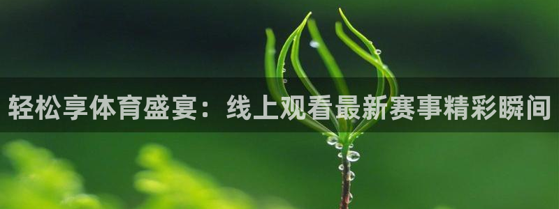 轻松享体育盛宴：线上观看最新赛事精彩瞬间