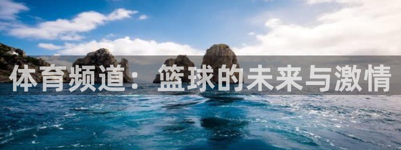 体育频道：篮球的未来与激情