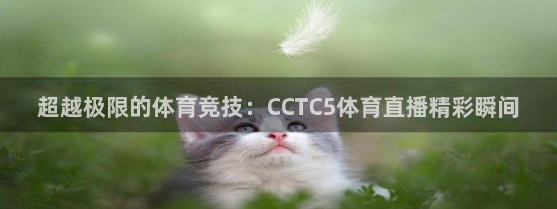 超越极限的体育竞技：CCTC5体育直播精彩瞬间