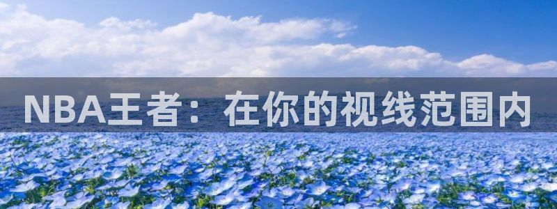 NBA王者：在你的视线范围内