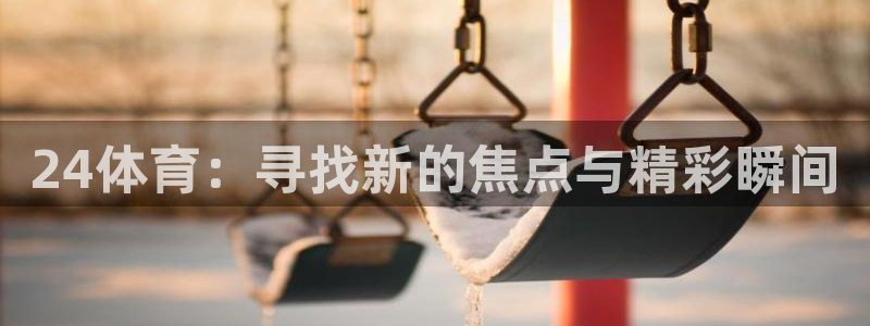 24体育：寻找新的焦点与精彩瞬间