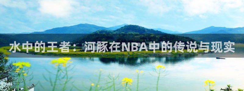 水中的王者：河豚在NBA中的传说与现实