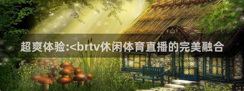 超爽体验:<brtv休闲体育直播的完美融合