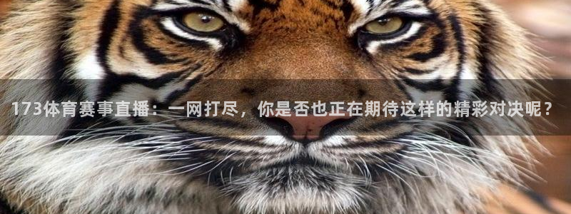 173体育赛事直播：一网打尽，你是否也正在期待这样的精彩对决呢？