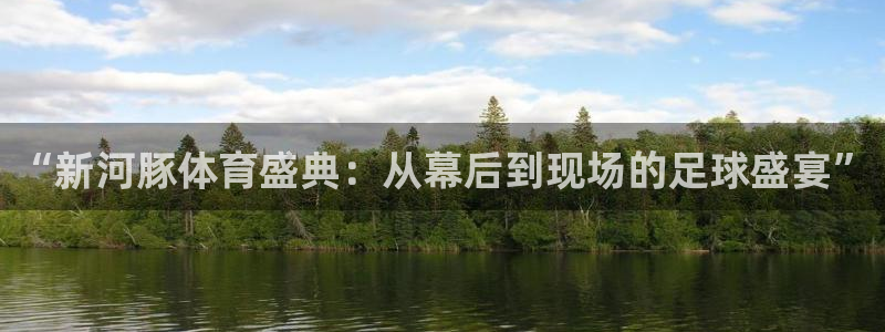 “新河豚体育盛典：从幕后到现场的足球盛宴”