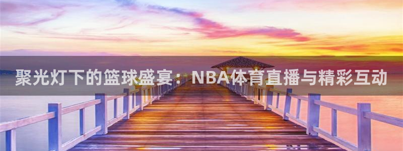 聚光灯下的篮球盛宴：NBA体育直播与精彩互动