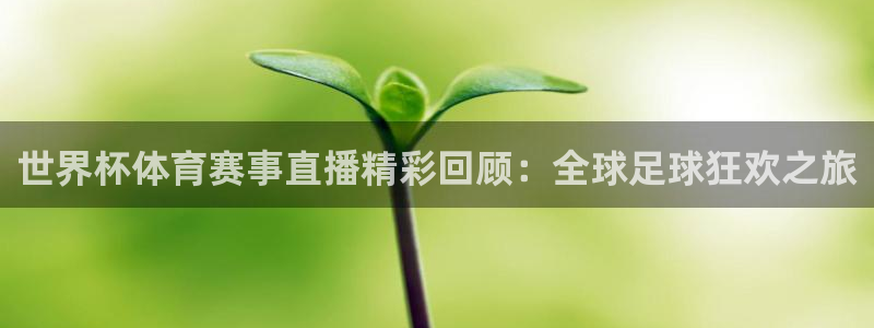 世界杯体育赛事直播精彩回顾：全球足球狂欢之旅