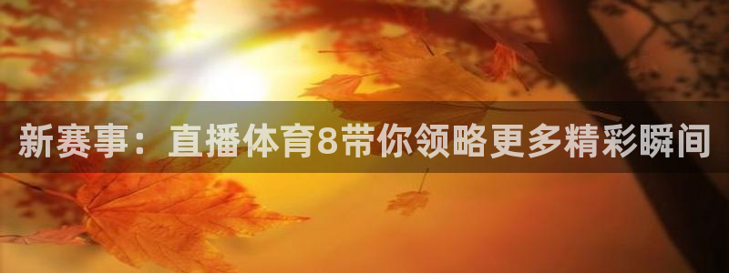 新赛事：直播体育8带你领略更多精彩瞬间