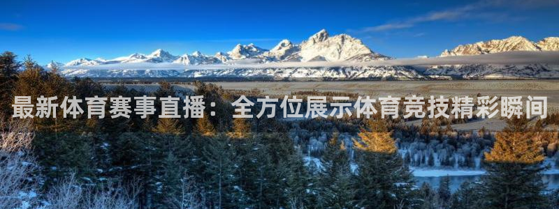最新体育赛事直播：全方位展示体育竞技精彩瞬间