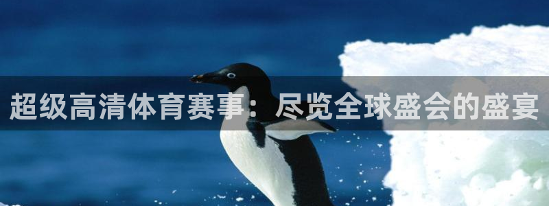 超级高清体育赛事：尽览全球盛会的盛宴