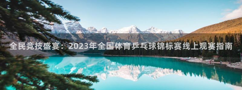 全民竞技盛宴：2023年全国体育乒乓球锦标赛线上观赛指南