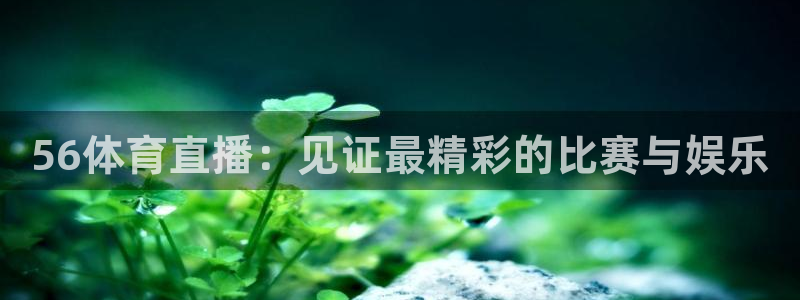 56体育直播：见证最精彩的比赛与娱乐