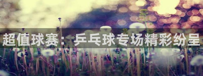 超值球赛：乒乓球专场精彩纷呈