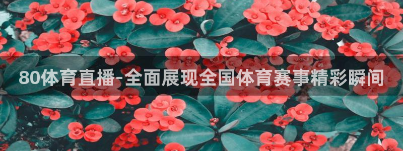 80体育直播-全面展现全国体育赛事精彩瞬间