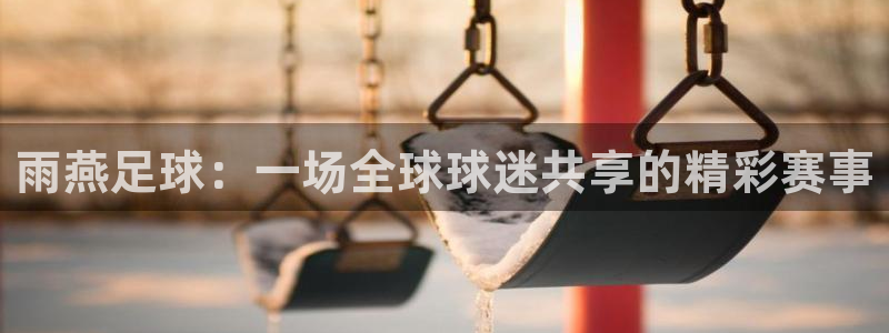 雨燕足球：一场全球球迷共享的精彩赛事