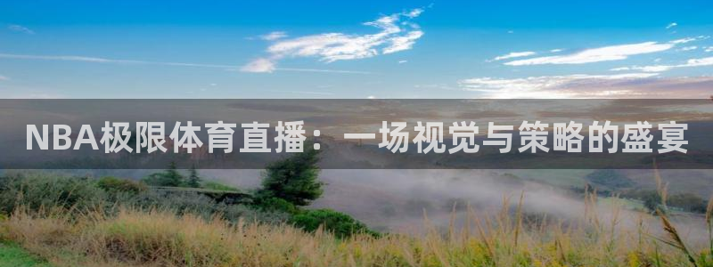 NBA极限体育直播：一场视觉与策略的盛宴