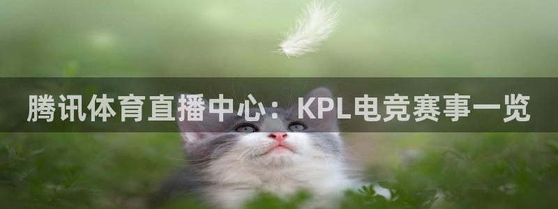 腾讯体育直播中心：KPL电竞赛事一览