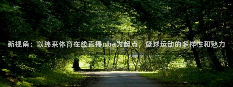 新视角：以纬来体育在线直播nba为起点，篮球运动的多样性和魅力
