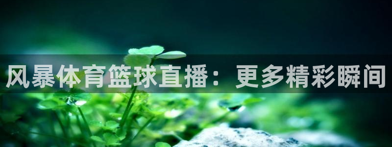 风暴体育篮球直播：更多精彩瞬间