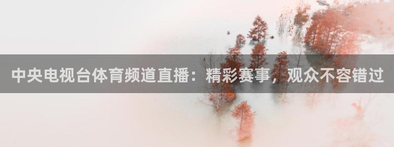 中央电视台体育频道直播：精彩赛事，观众不容错过