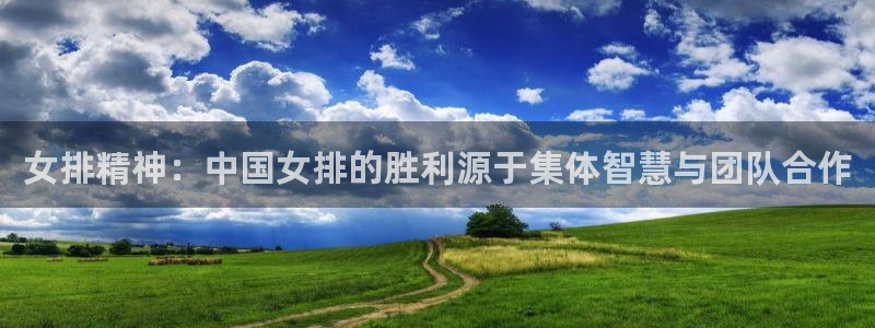女排精神：中国女排的胜利源于集体智慧与团队合作
