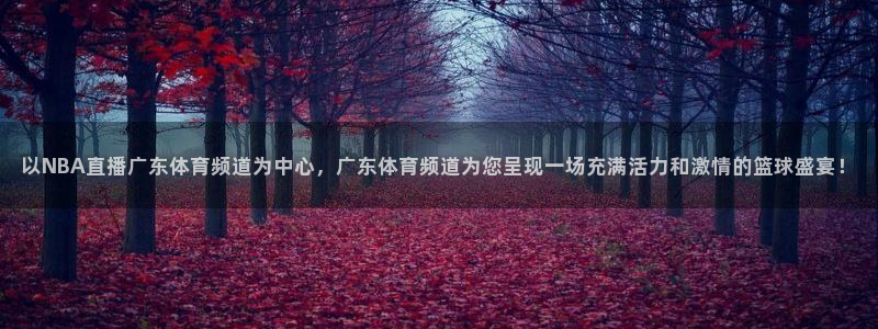 以NBA直播广东体育频道为中心，广东体育频道为您呈现一场充满活力和激情的篮球盛宴！