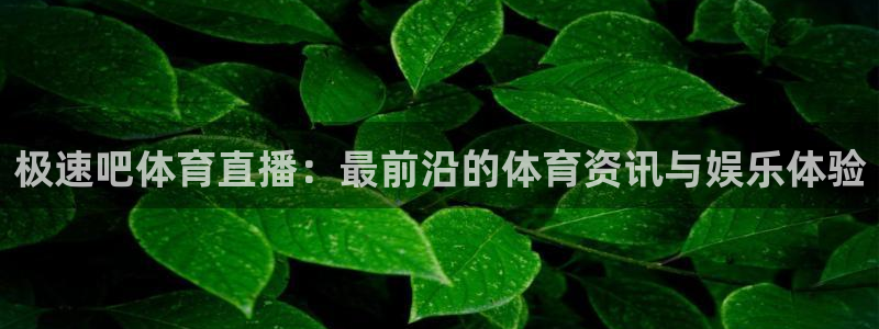 极速吧体育直播：最前沿的体育资讯与娱乐体验